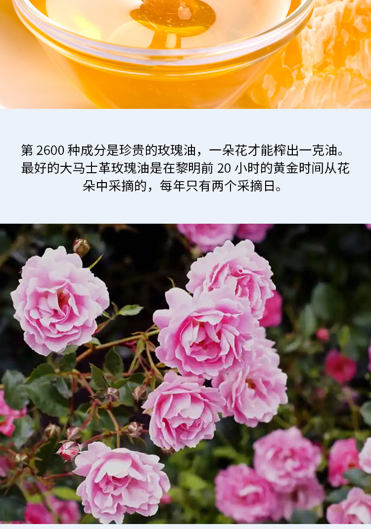 【日本直郵】日本小眾品牌BLACK PAINT京都 大馬士革玫瑰蜂蜜精華油 23g