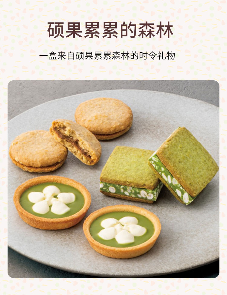 【日本直邮】NUT STOCK实森 果实森林 饼干礼盒 17枚 『赏味期30天』